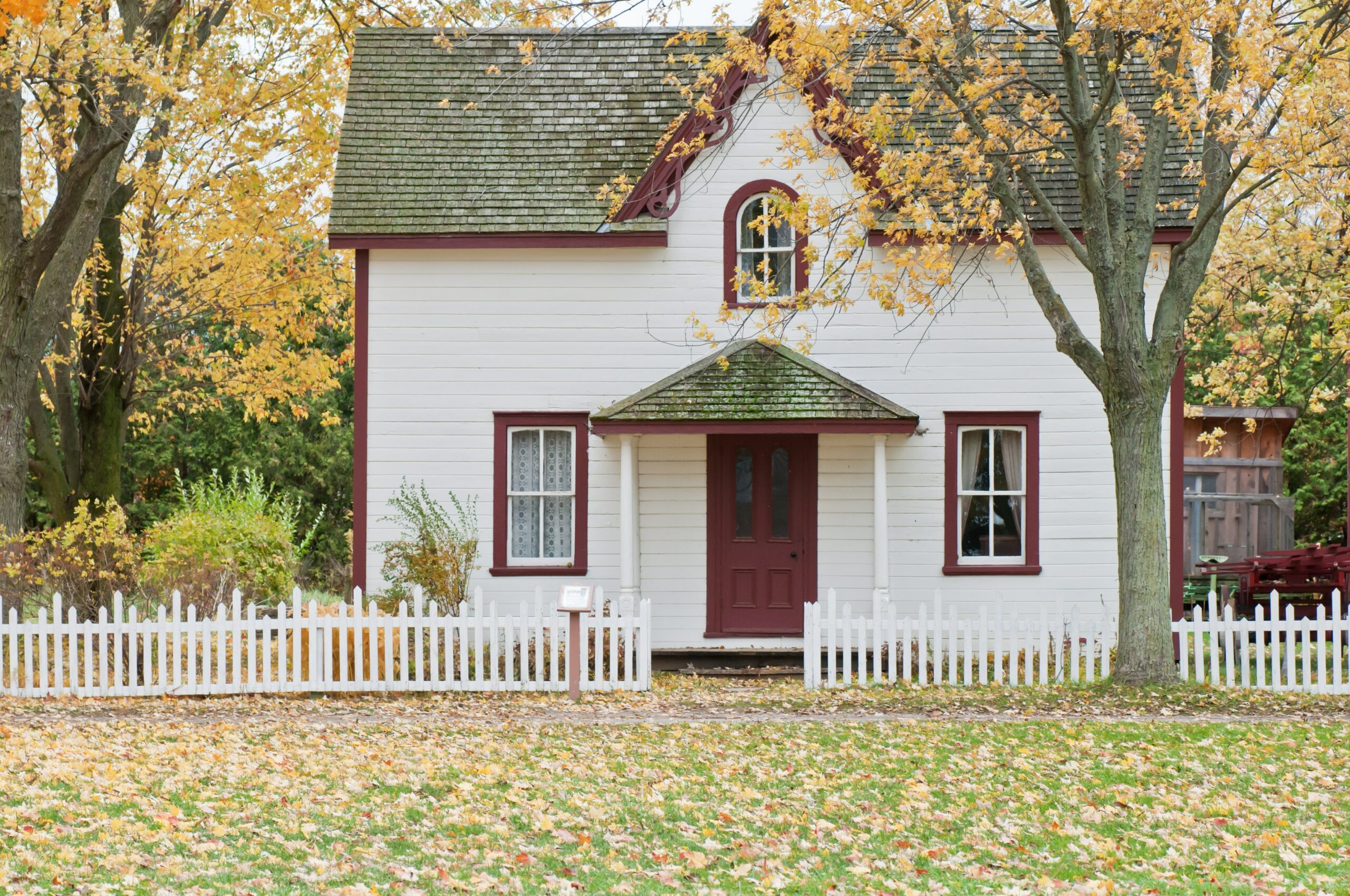 A cottage in autumn with yellow leaves falling.